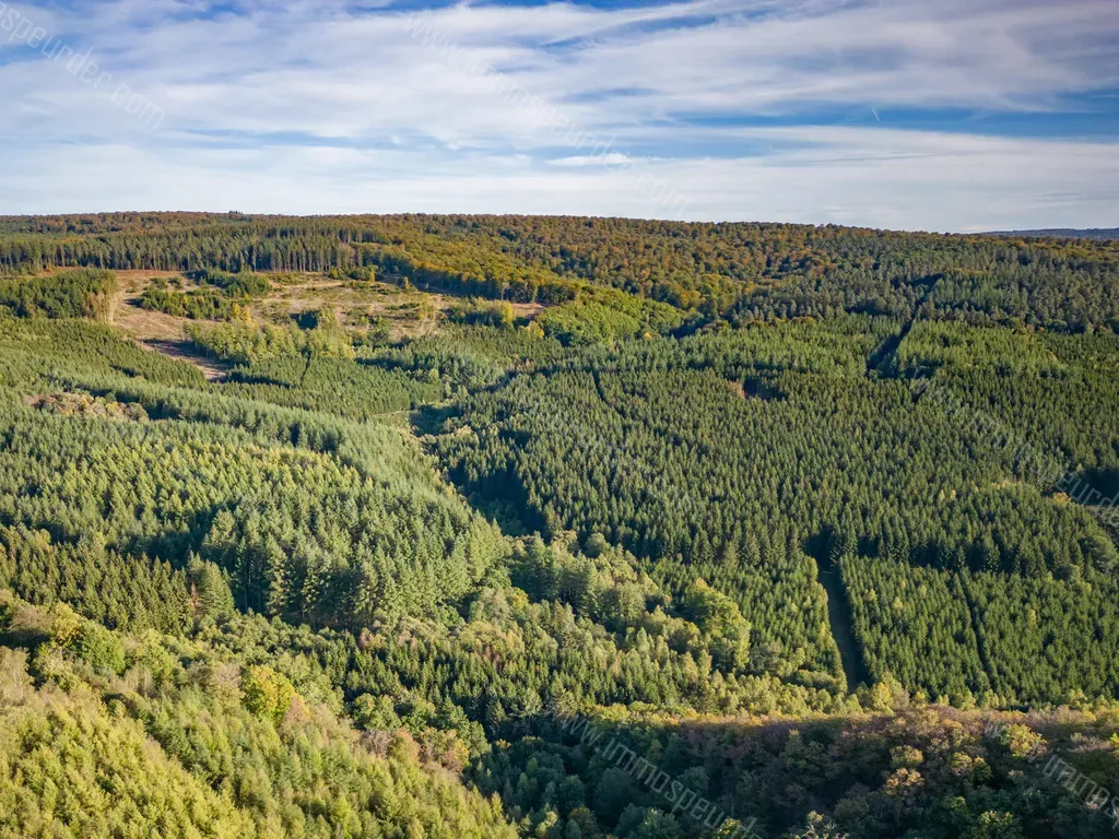 Terrain in Nassogne - 1228715 - Rue du Nanfurnal , 6950 Nassogne