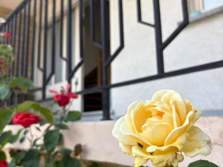 Huis in Aubange - Rue de Messancy 33, 6790 - foto 4