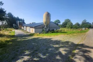 Grond Te Koop Houffalize