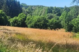 Grond Te Koop Grand-halleux