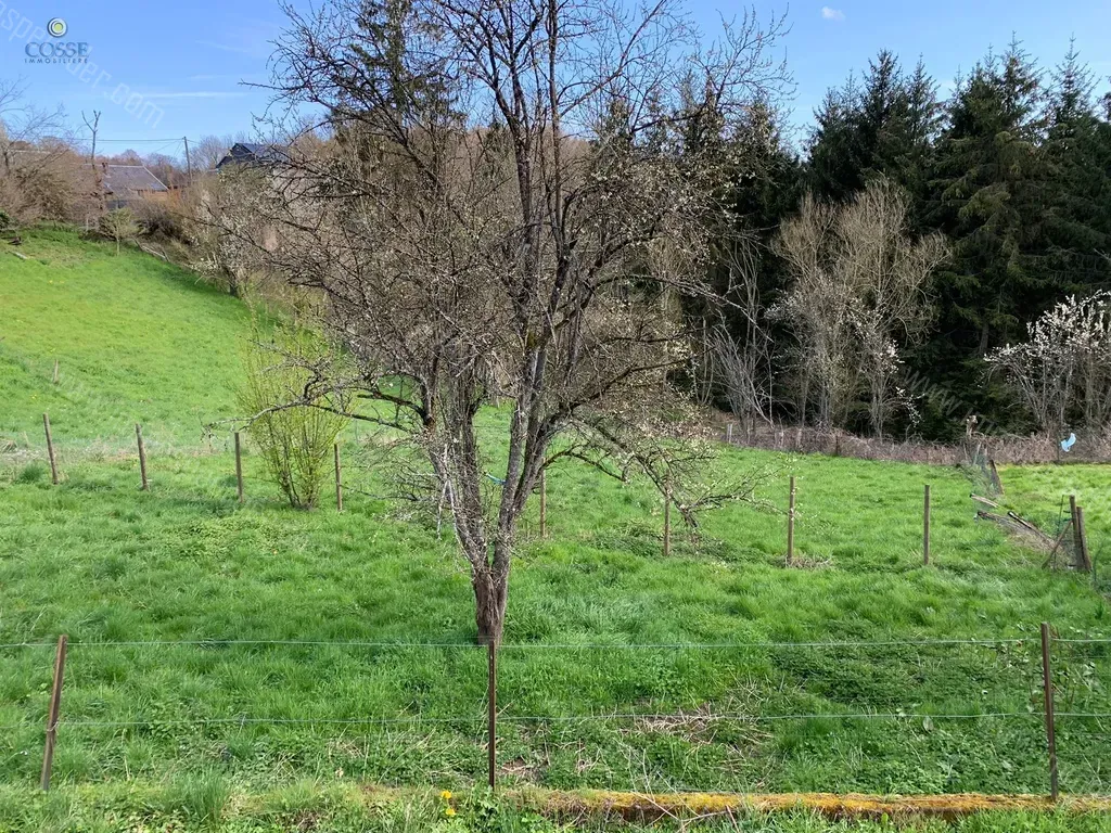 Grond in Tohogne - 1153208 - Chemin de Sy , 6941 TOHOGNE