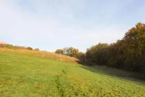 HuisNandrin