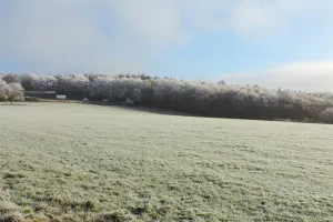 GrondHarzé