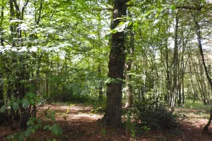 GrondSaint-georges-sur-meuse