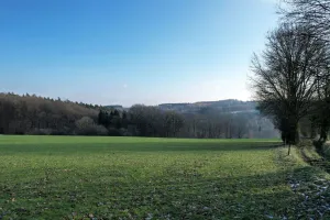 GrondHarzé