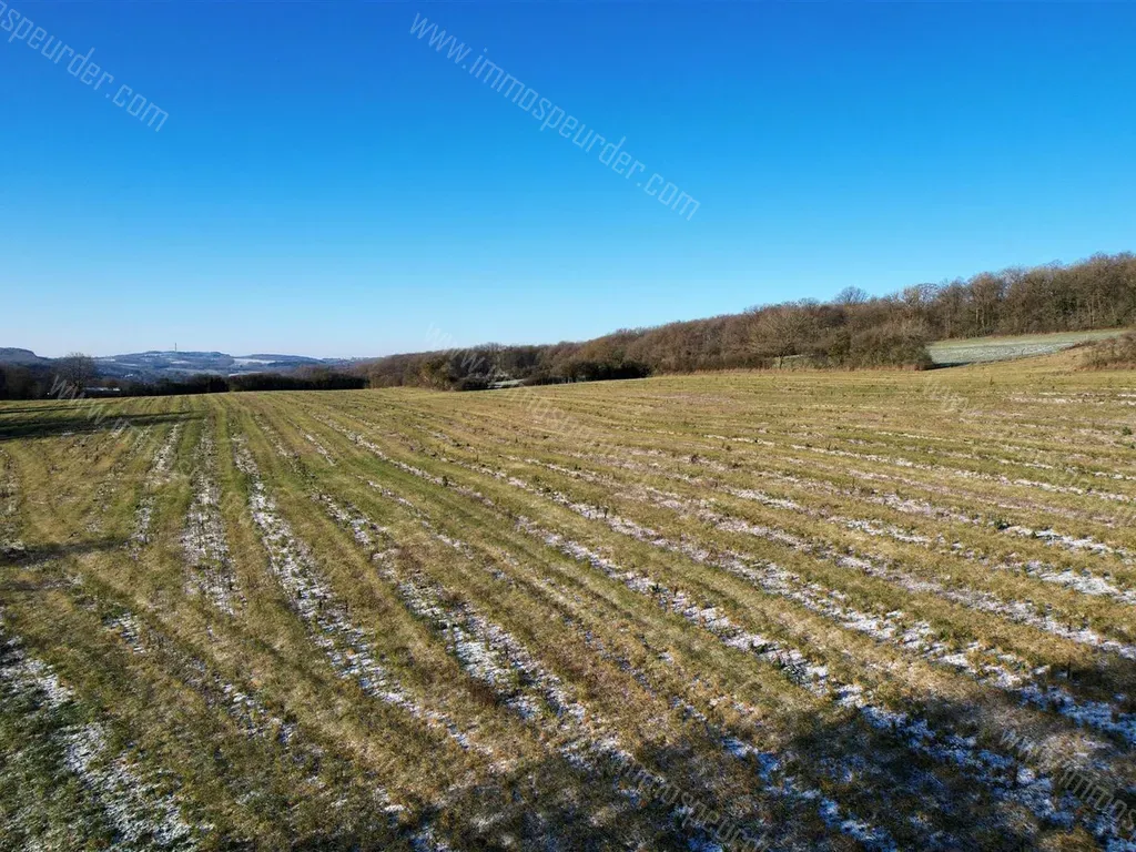 Terrain in Vieuxville - 1348654 - Route de Filot , 4190 Vieuxville