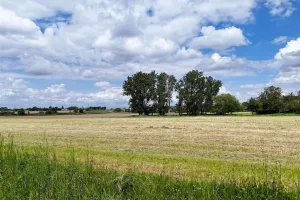 Grond Te Koop Liers