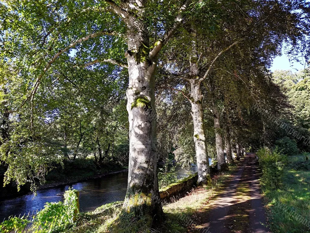 Huis in Hotton - 1504461 - Rue de Héblon 20, 6990 HOTTON