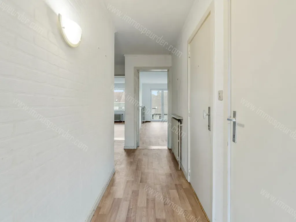 Appartement in Zeebrugge - 1113761 - Kustlaan 73, 8380 Zeebrugge