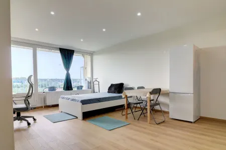 Appartement Te Huur Zaventem Sint-stevens-woluwe