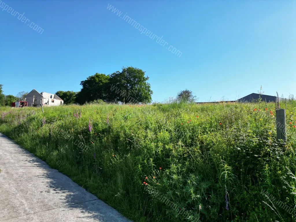Grond Te Koop Houffalize