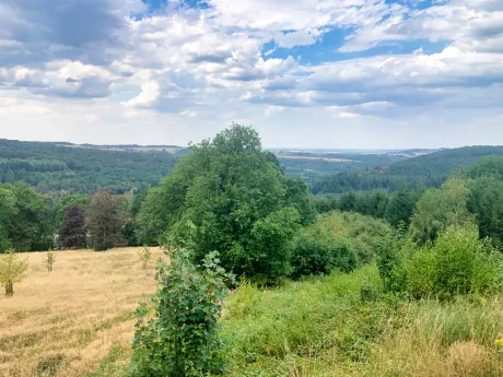Villa in Mirwart - Rue du Staplisse 35, 6870 - foto 7