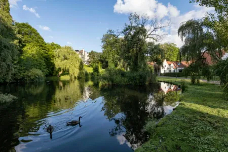 Appartement Te Huur Woluwe-Saint-Pierre