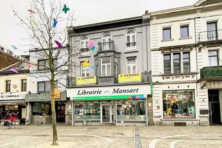 Huis Te Koop La LouviÈre