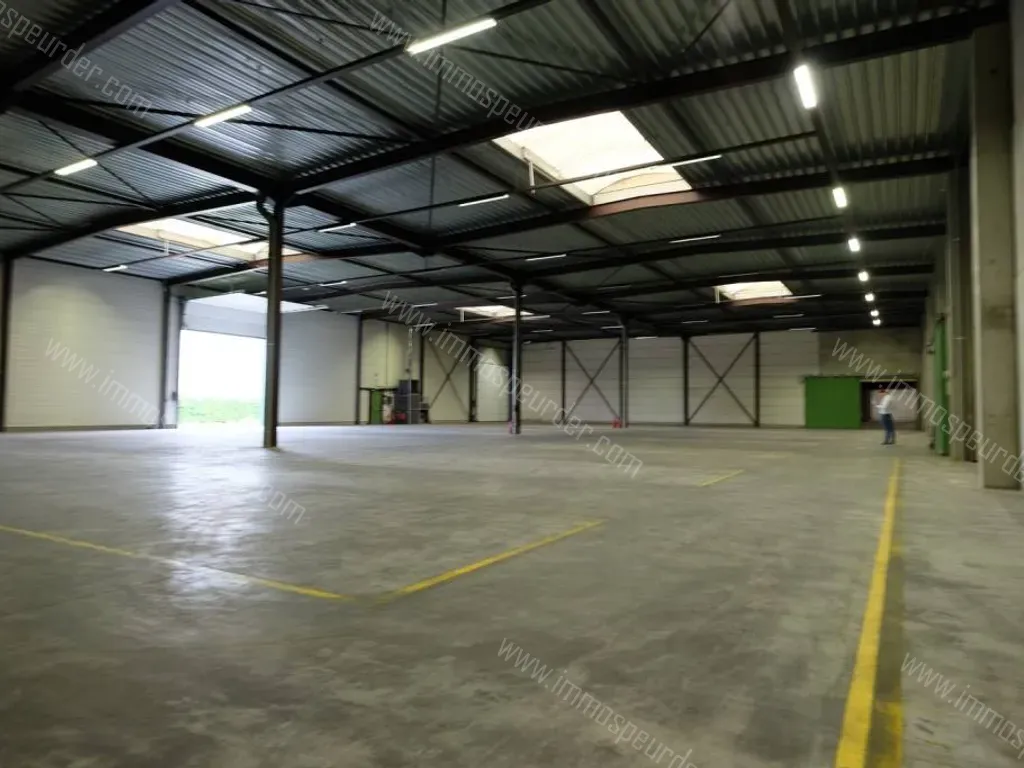 Handelspand Te Huur Sint-Truiden