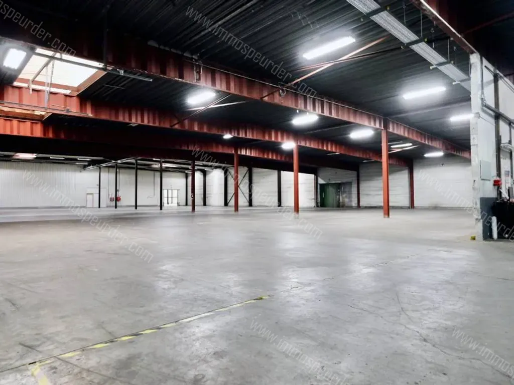 Handelspand Te Huur Sint-Truiden