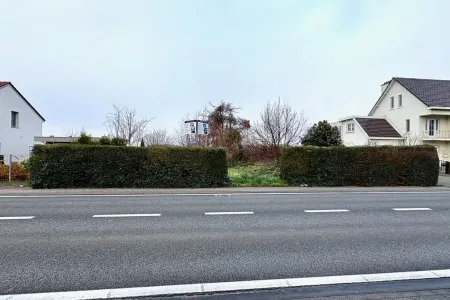 GrondGingelom