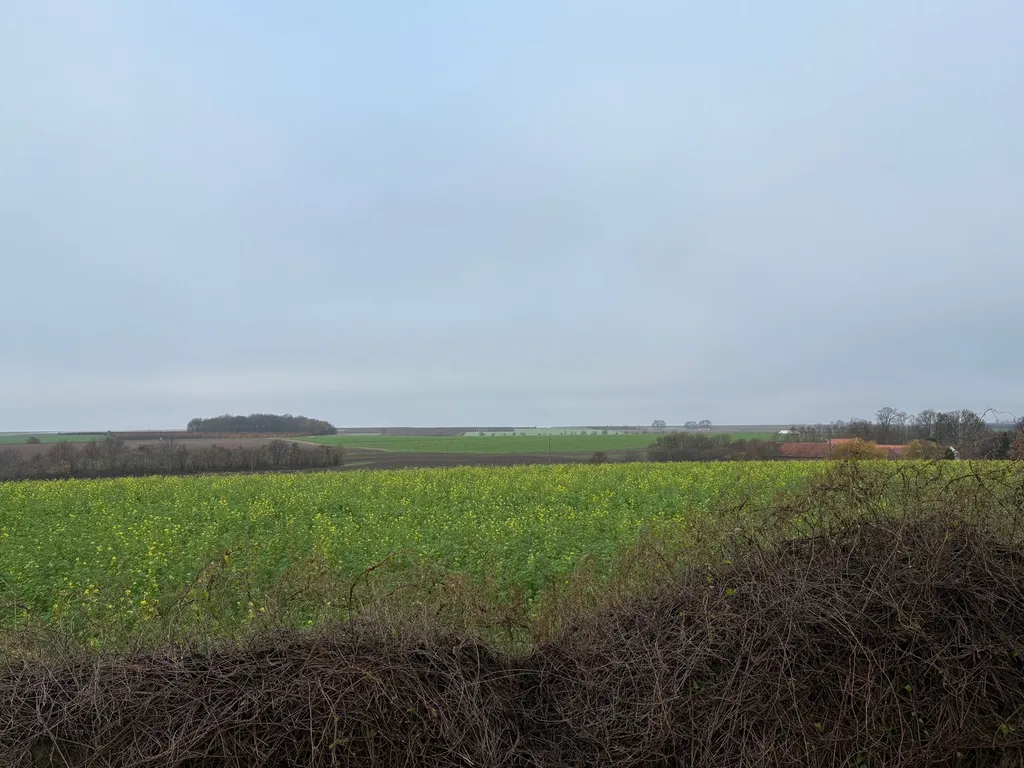 Grond in Gingelom - 7672578 - Steenweg 20, 3890 Gingelom