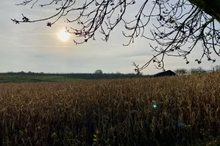 GrondSint Truiden