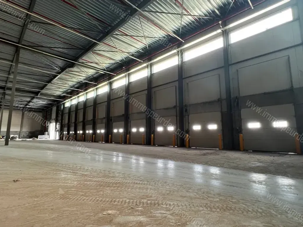 Kantoor in Brugge - 1431827 - Koffieweg 50, 8380 Brugge