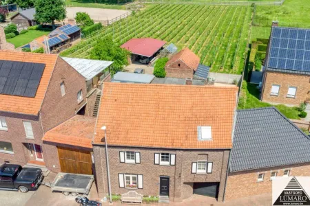 Appartement Te Koop Maasmechelen