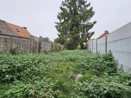 Huis in Péruwelz - Rue du Bas Coron 37, 7600 - foto 9