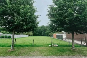 Garage Te Koop Meise