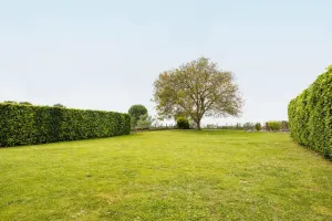 Handelspand Te Koop Denderleeuw