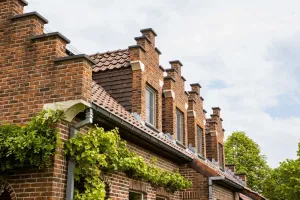 Villa Te Koop Denderleeuw