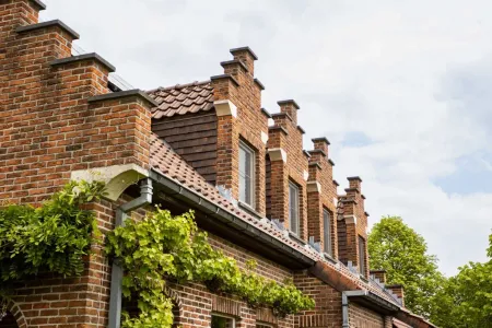 Handelspand Te Koop Denderleeuw