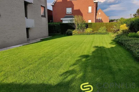  Verhuurd Wetteren