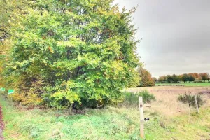 GrondSourbrodt