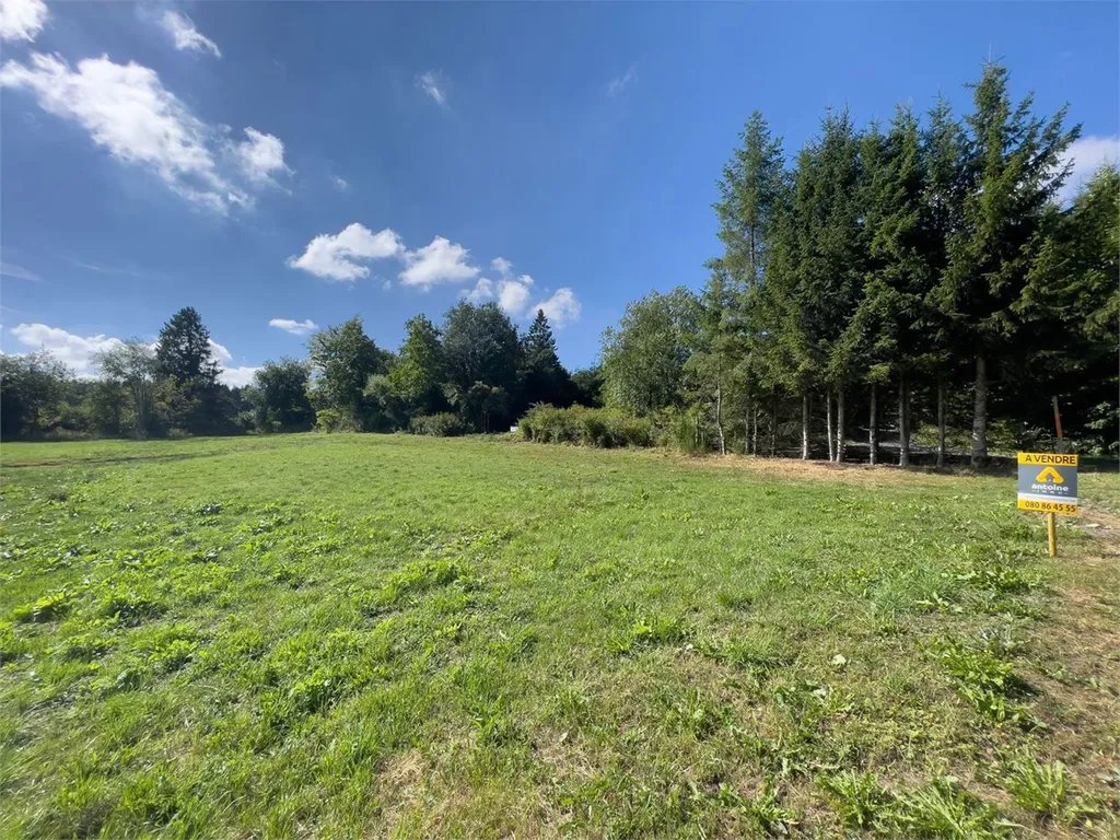 Grond in Vielsalm - 7667984 - Petites-Tailles 0, 6690 Vielsalm