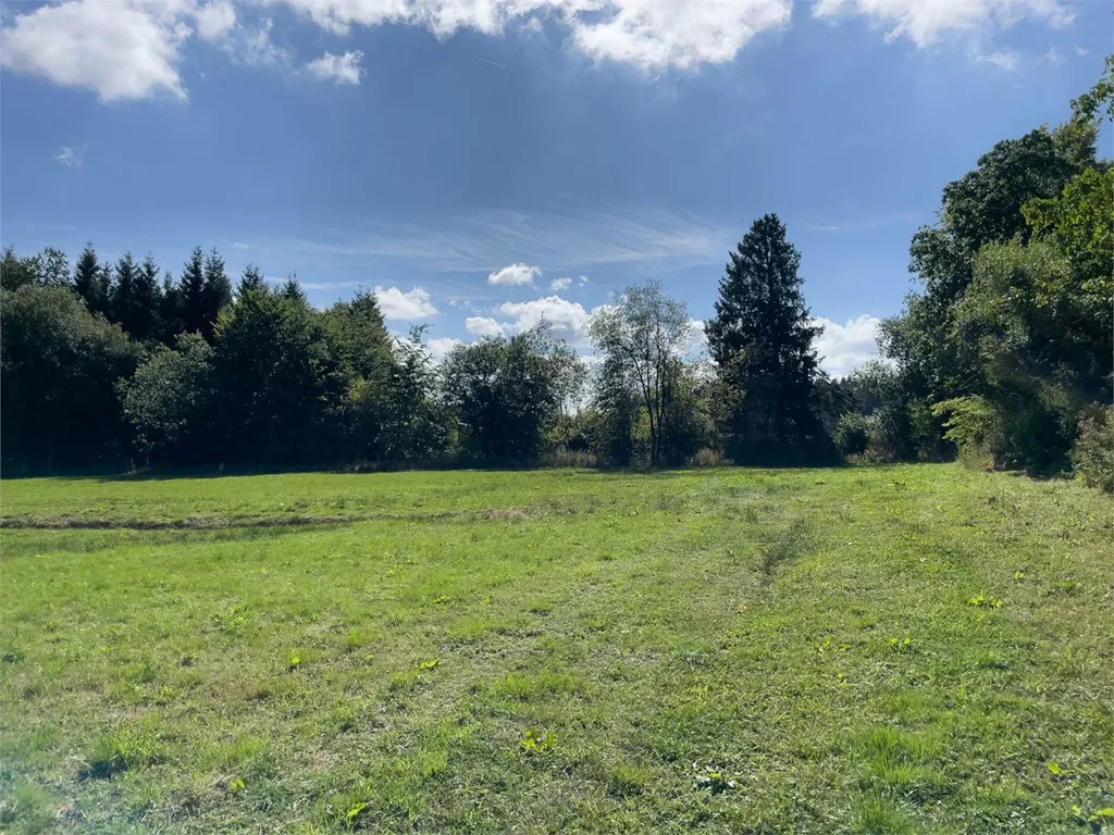 Grond in Vielsalm - 7667984 - Petites-Tailles 0, 6690 Vielsalm