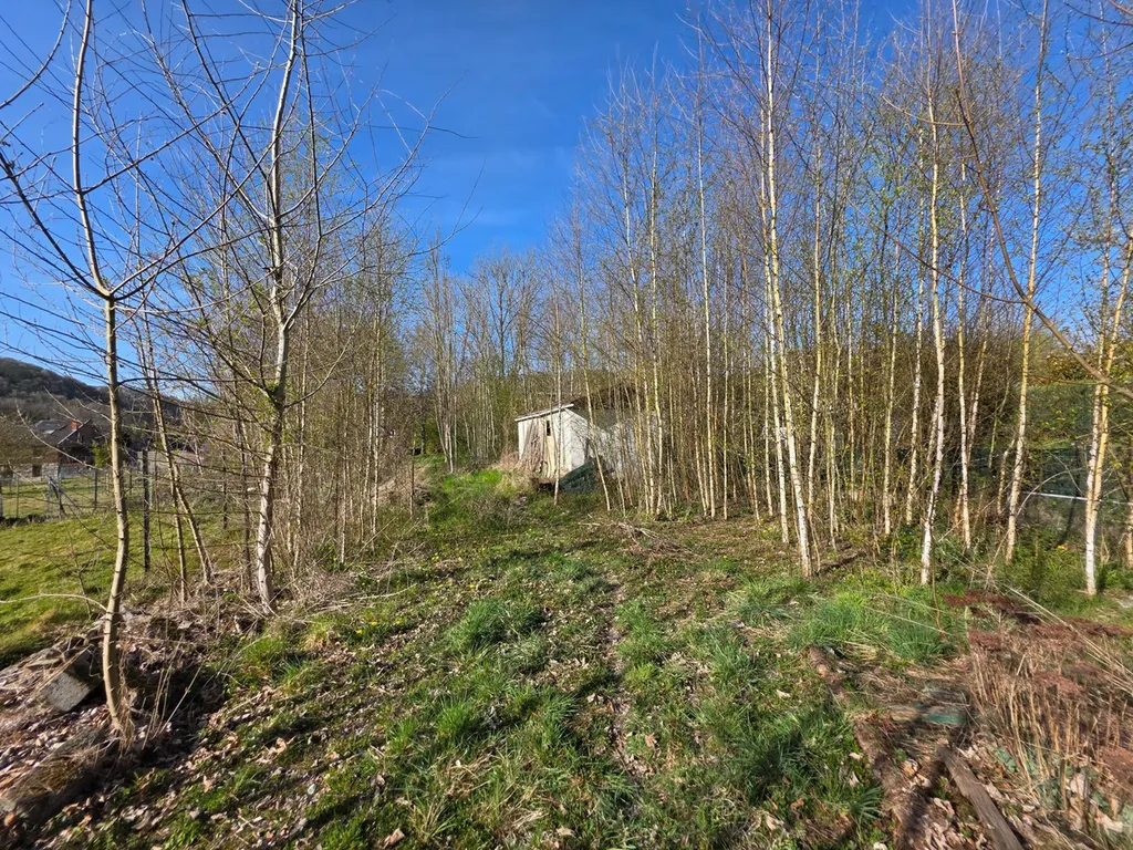 Huis in Hamoir - 7668154 - Rue du Rocher de la Vierge 33, 4180 Hamoir