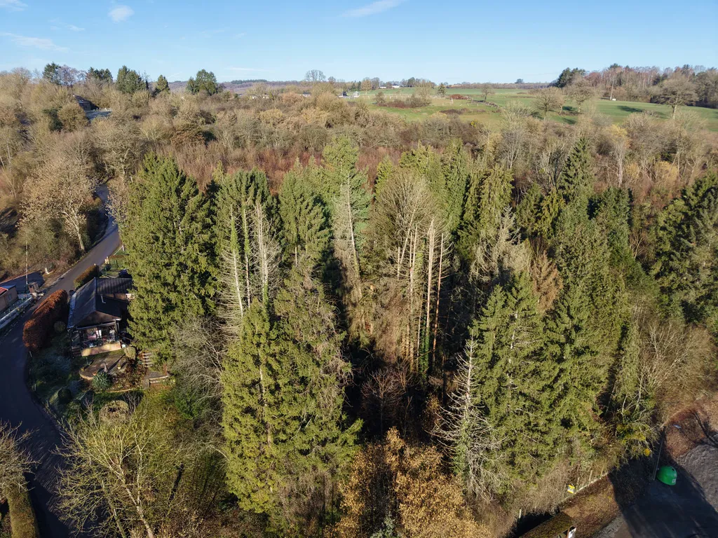 Grond in Durbuy - 7668285 - Tier dè Rinze 31, 6941 Durbuy