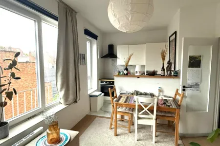 Appartement Te Huur Elsene