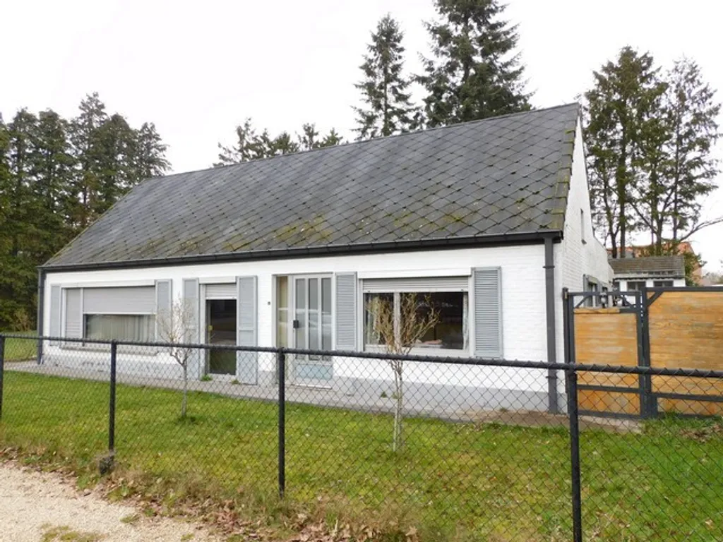Hoofdfoto Huis in Beverlo