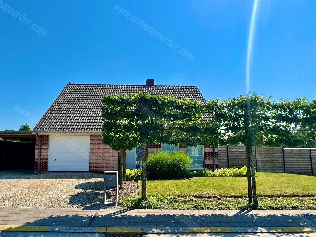 Villa in Anzegem - 1194258 - Groeningestraat 8, 8572 ANZEGEM