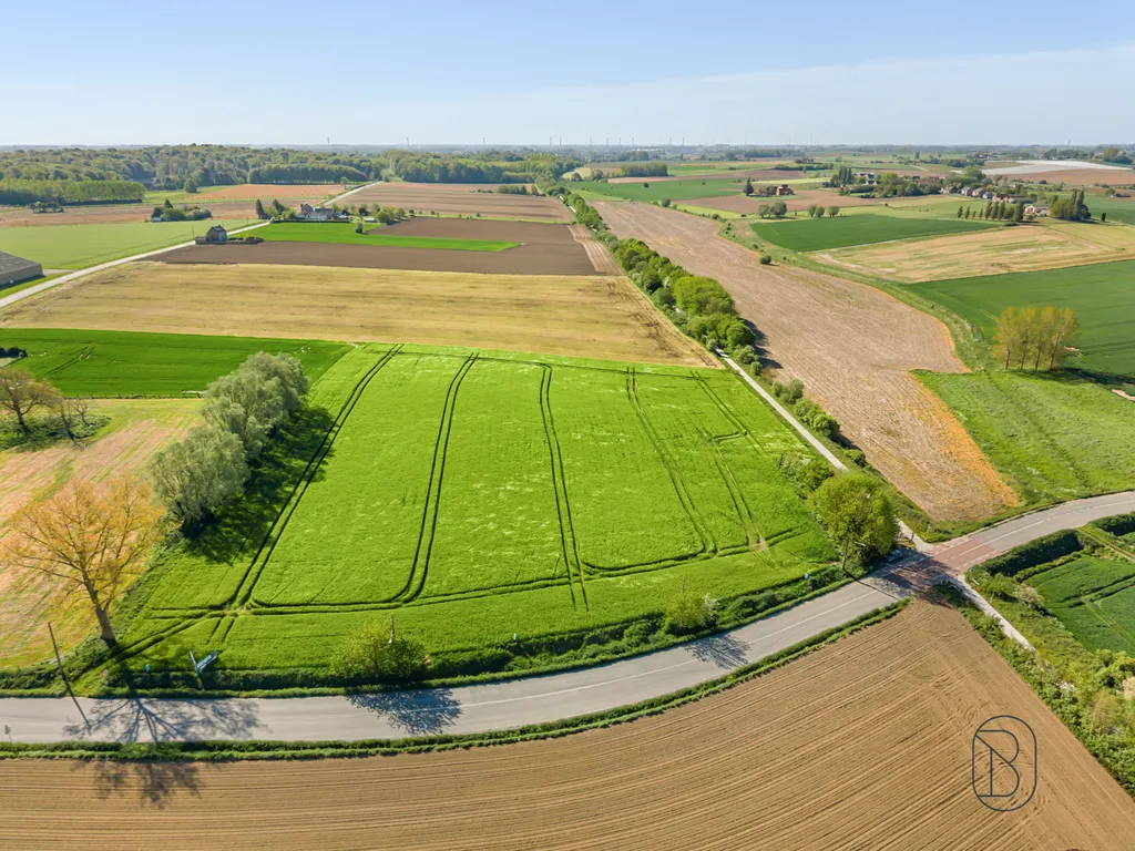 Grond in Frasnes-lez-Anvaing - 7668336 - Rue des Blancs Arbres pas de numéro , 7911 Frasnes-Lez-Anvaing