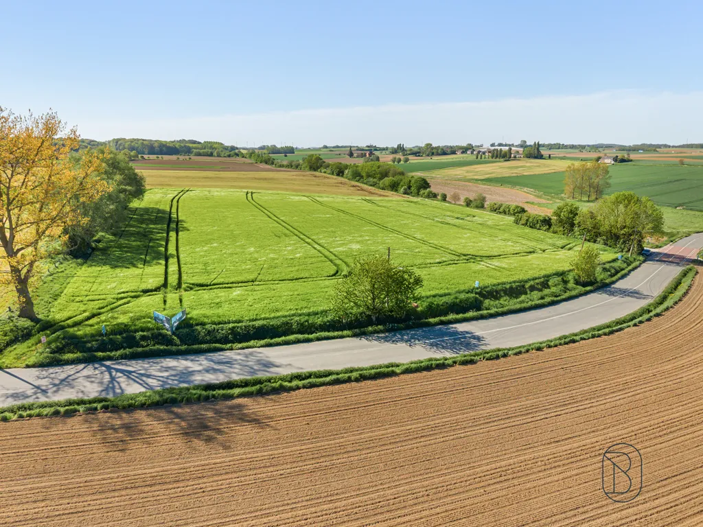 Grond in Frasnes-lez-Anvaing - 7668336 - Rue des Blancs Arbres pas de numéro , 7911 Frasnes-Lez-Anvaing