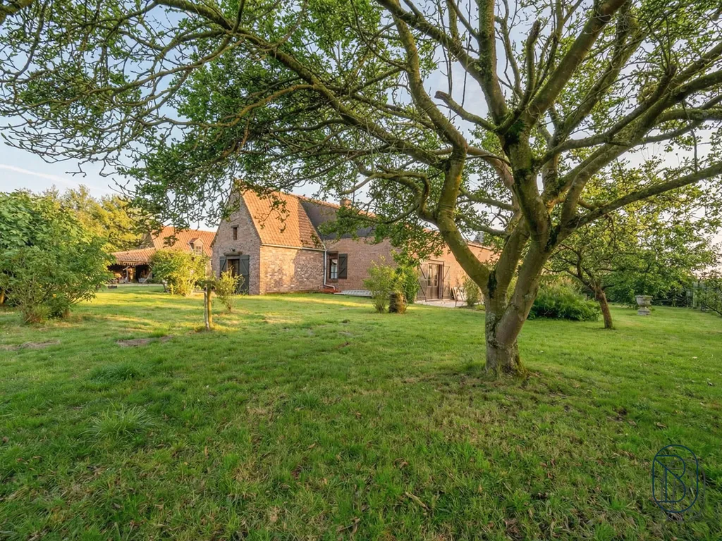 Hoofdfoto Huis in Montroeul-au-Bois