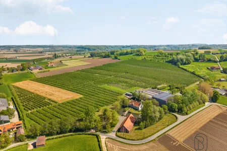 Huis Te Koop Kwaremont