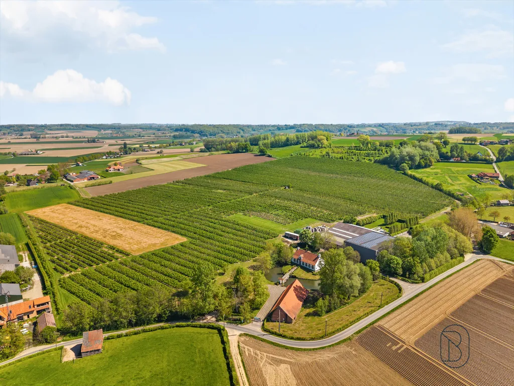 Hoofdfoto Huis in Kwaremont
