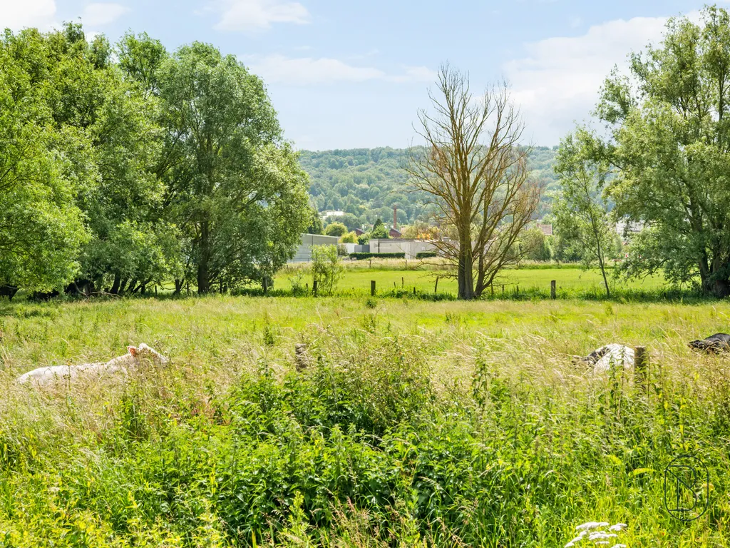 Hoofdfoto Huis in Avelgem