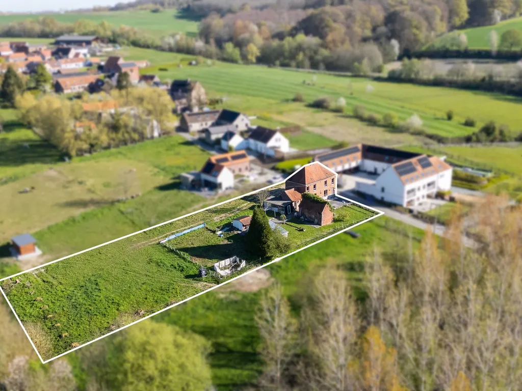 Hoofdfoto Huis in Ellezelles