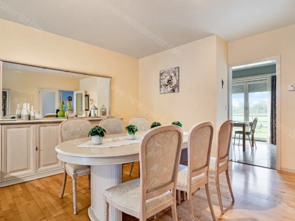 Handelspand Te Koop Haaltert