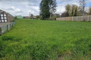 Garage Te Koop Haaltert