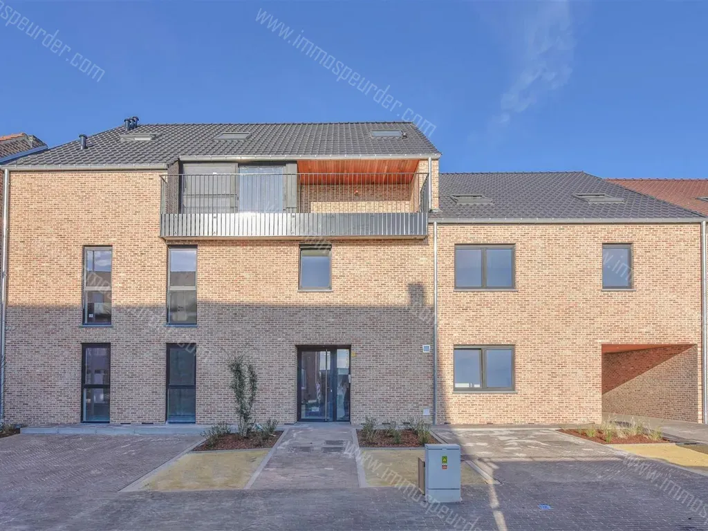 Appartement Te Huur Bilzen