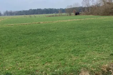 GrondMalle